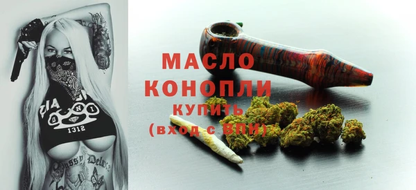тгк Михайлов
