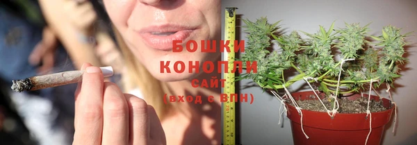 спиды Михайловск