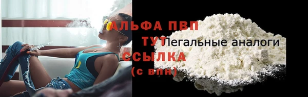 спиды Михайловск