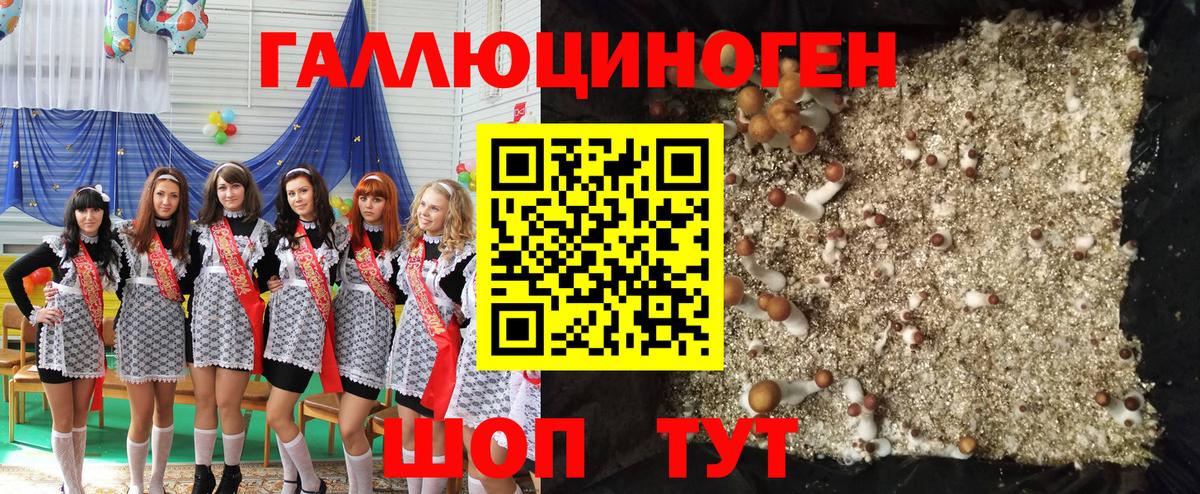 Люберцы  Псилоцибиновые грибы прущие грибы  Галлюциногенные грибы прущие грибы  Вход с VPN 