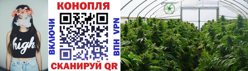 Конопля Bruce Banner  Люберцы 